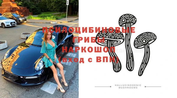 ГАЛЛЮЦИНОГЕННЫЕ ГРИБЫ Балабаново
