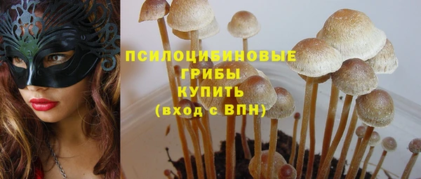 винт Балахна
