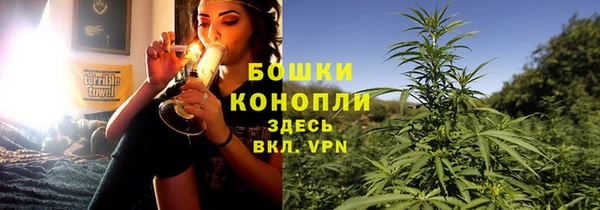 ГАЛЛЮЦИНОГЕННЫЕ ГРИБЫ Балабаново